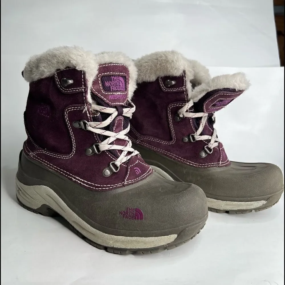 The North Face McMurdo Winter Boots in gray and purple Size 6